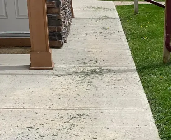 Grass clippings scattered across the concrete entry walkway and lawn edge of a commercial property after a mowing crew passed through. The kind of cleanup miss a landscape account manager would photograph on a site walk and assign back to the crew through SiteDNA before the customer ever sends an email.